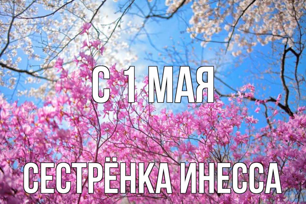 Открытка на каждый день с именем, Сестрёнка-Инесса С 1 мая С 1 мая Прикольная открытка с пожеланием онлайн скачать бесплатно 