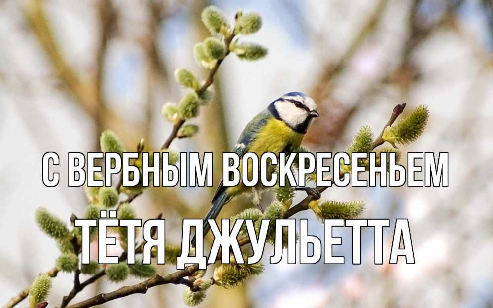 Открытка на каждый день с именем, Тётя-Джульетта С вербным воскресеньем верба Прикольная открытка с пожеланием онлайн скачать бесплатно 