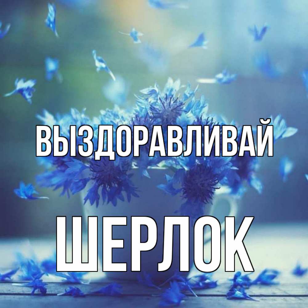 Открытка на каждый день с именем, Шерлок Выздоравливай кружка с зельем и цветами Прикольная открытка с пожеланием онлайн скачать бесплатно 