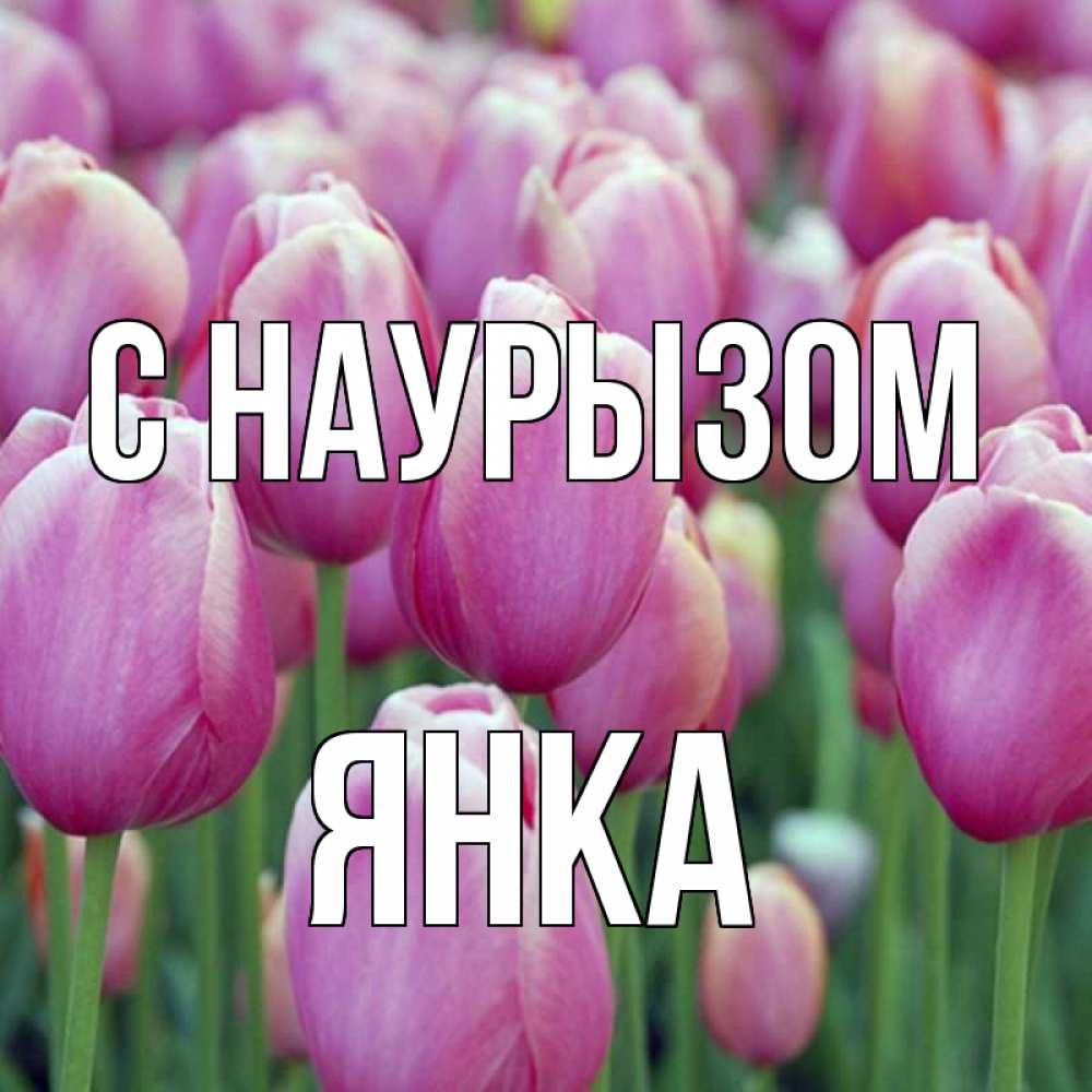 Открытка на каждый день с именем, Янка С наурызом праздник весны наурыз 69 Прикольная открытка с пожеланием онлайн скачать бесплатно 