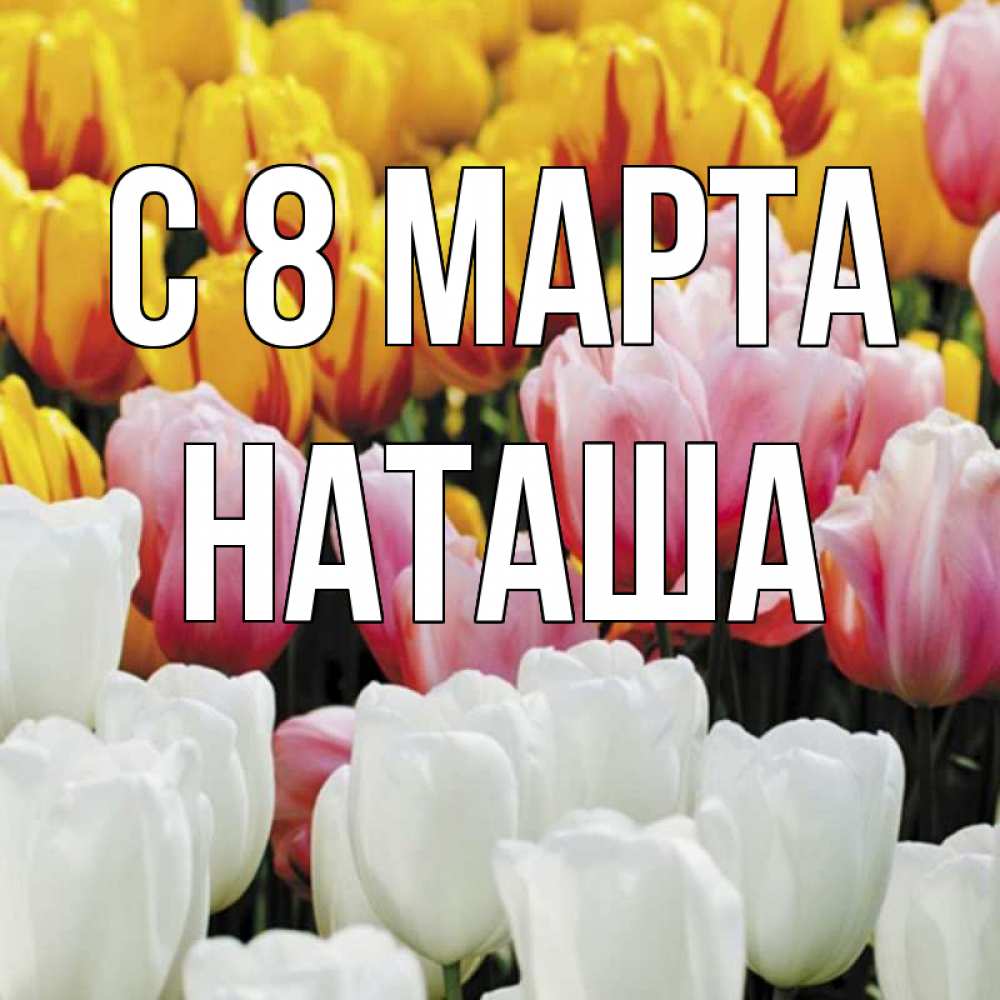 Открытка на каждый день с именем, наташа С 8 марта разноцветные цветы Прикольная открытка с пожеланием онлайн скачать бесплатно 
