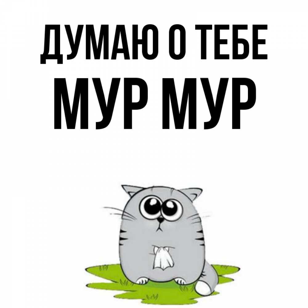 Мур мур вечер. Мур Мур. Открытка Мур. Мур Мур картинки. Котики Мур Мур.