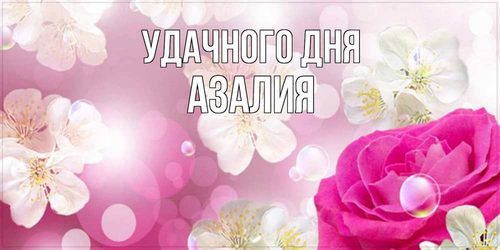 Открытка на каждый день с именем, Азалия Удачного дня красивые цветы Прикольная открытка с пожеланием онлайн скачать бесплатно 