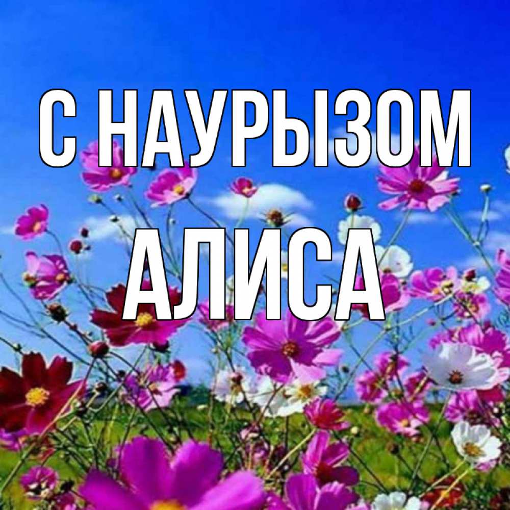 Открытка на каждый день с именем, Алиса С наурызом цветы Прикольная открытка с пожеланием онлайн скачать бесплатно 