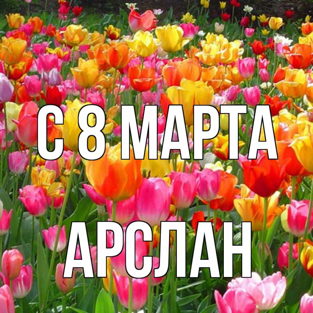 Открытка на каждый день с именем, Арслан С 8 МАРТА на международный женский день Прикольная открытка с пожеланием онлайн скачать бесплатно 