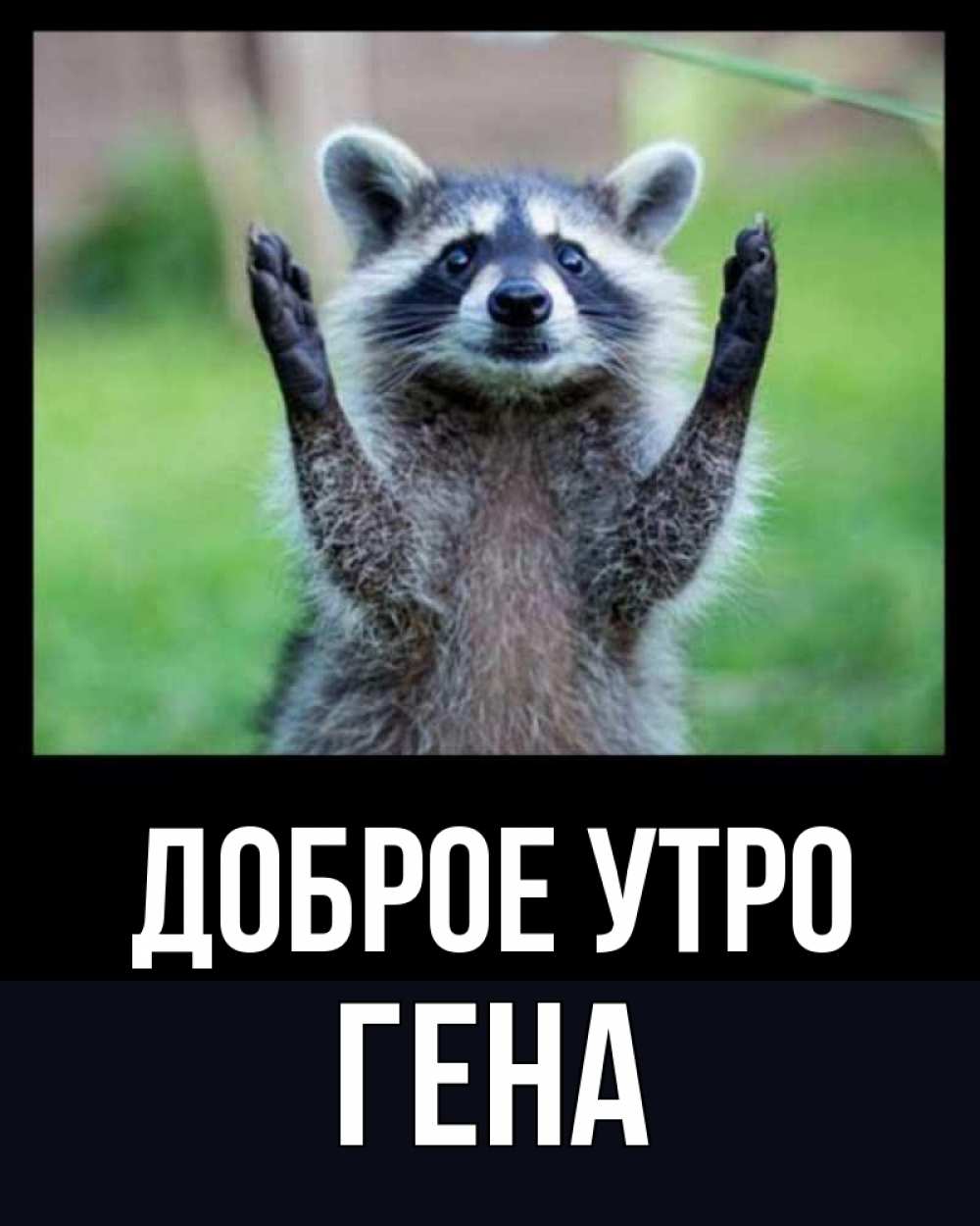 Открытка на каждый день с именем, Гена Доброе утро хорошее настроение утречком Прикольная открытка с пожеланием онлайн скачать бесплатно 