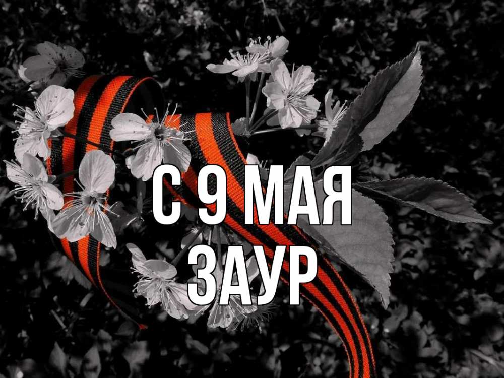 Открытка на каждый день с именем, Заур С 9 мая 9 мая Прикольная открытка с пожеланием онлайн скачать бесплатно 
