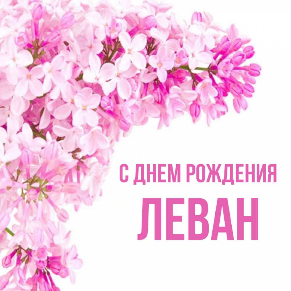 Открытка на каждый день с именем, Леван С днем рождения Сирень на белом фоне Прикольная открытка с пожеланием онлайн скачать бесплатно 