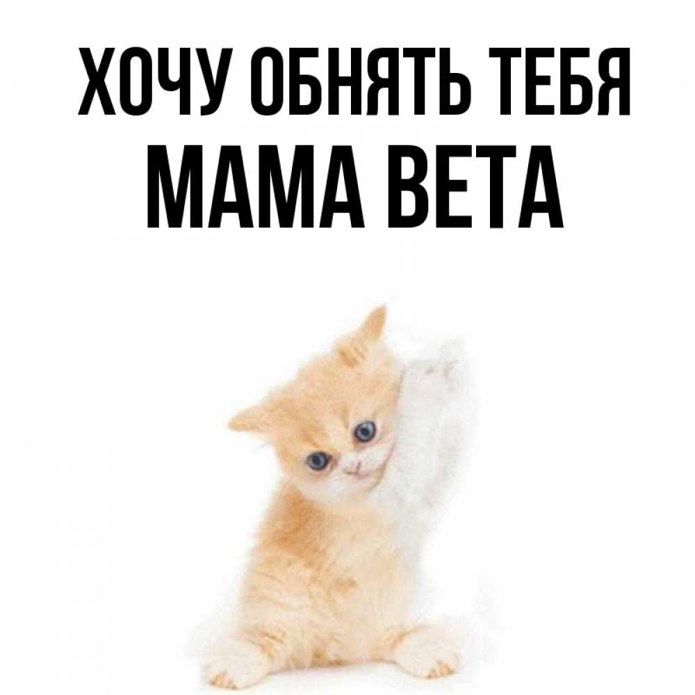 Открытка на каждый день с именем, Мама-Вета Хочу обнять тебя я хочу очень скорее обнимаешек Прикольная открытка с пожеланием онлайн скачать бесплатно 