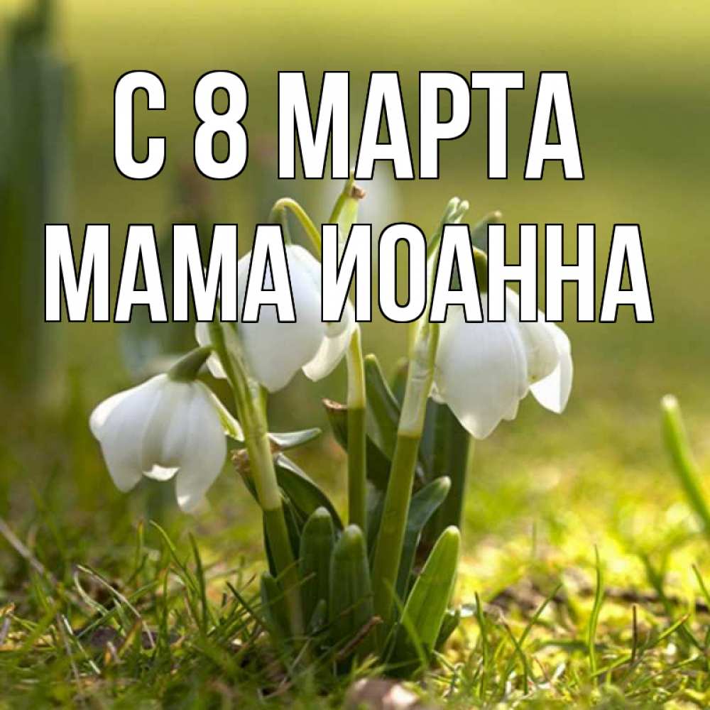 Открытка на каждый день с именем, Мама-Иоанна С 8 МАРТА ранние цветы 2 Прикольная открытка с пожеланием онлайн скачать бесплатно 