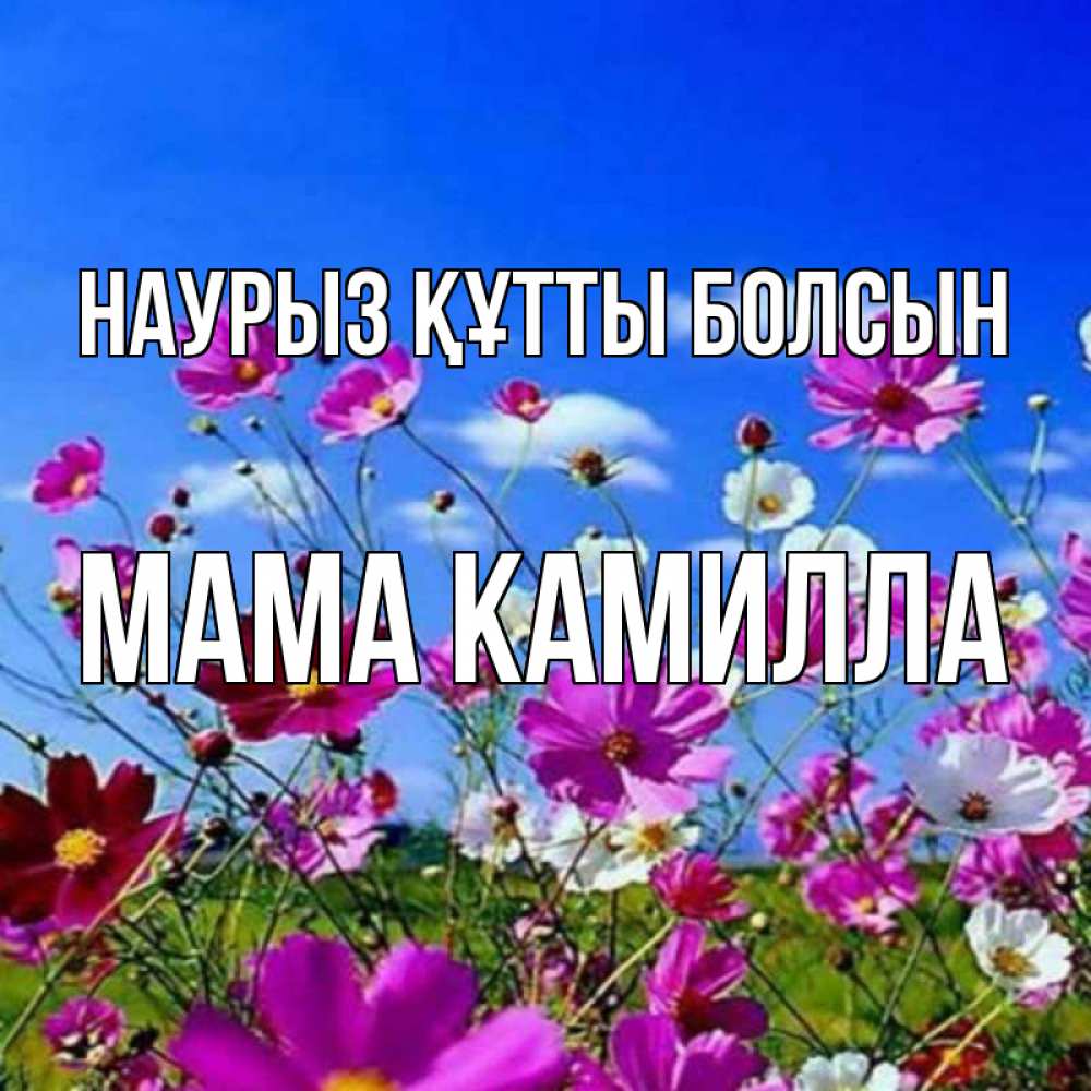 Открытка на каждый день с именем, Мама-Камилла Наурыз құтты болсын цветы Прикольная открытка с пожеланием онлайн скачать бесплатно 