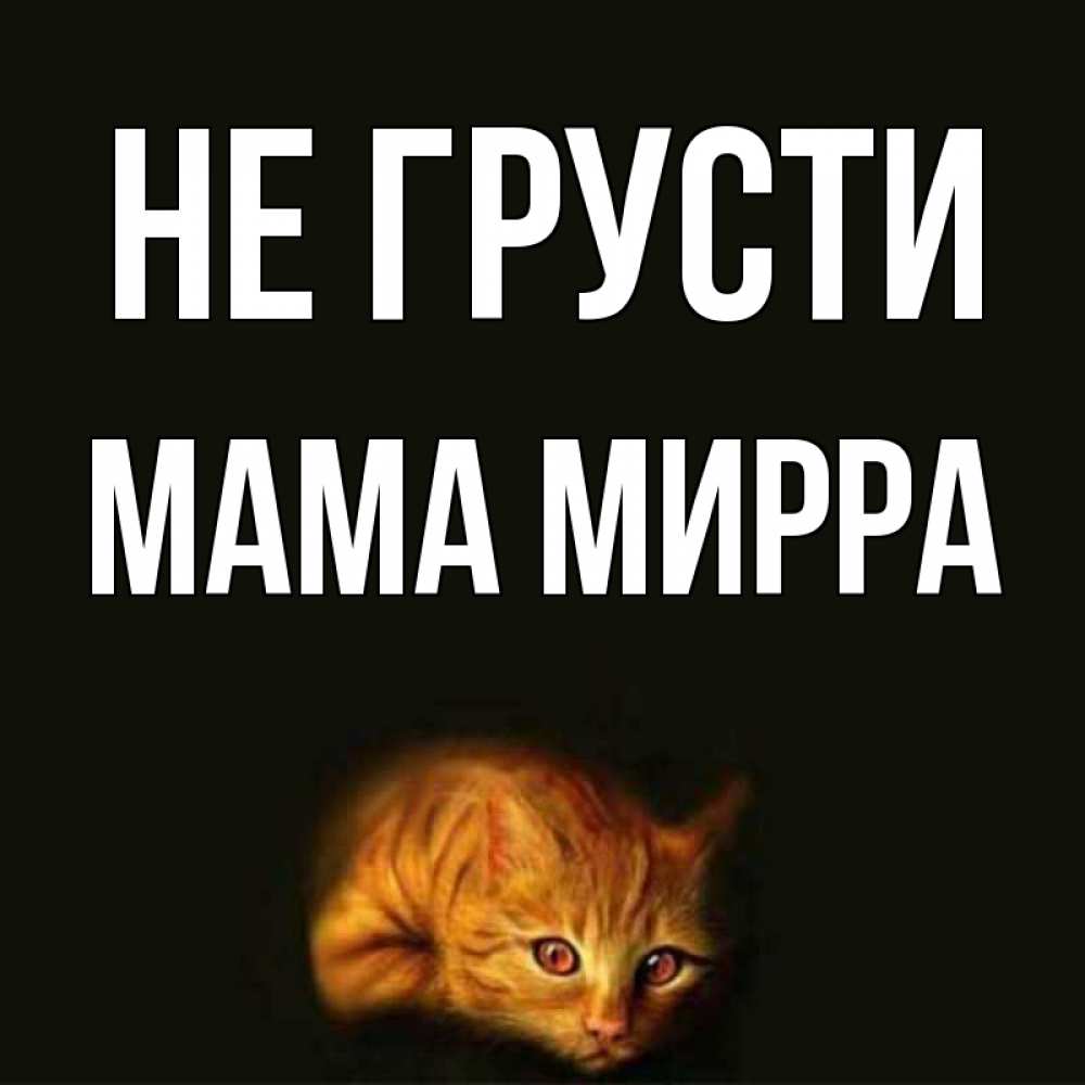 Открытка на каждый день с именем, Мама-Мирра Не грусти лежащий кот в темноте Прикольная открытка с пожеланием онлайн скачать бесплатно 
