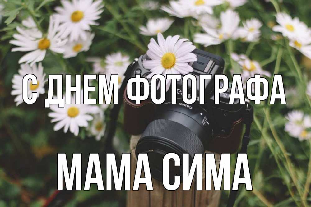 Открытка на каждый день с именем, Мама-Сима С днем фотографа с днем фотографа Прикольная открытка с пожеланием онлайн скачать бесплатно 