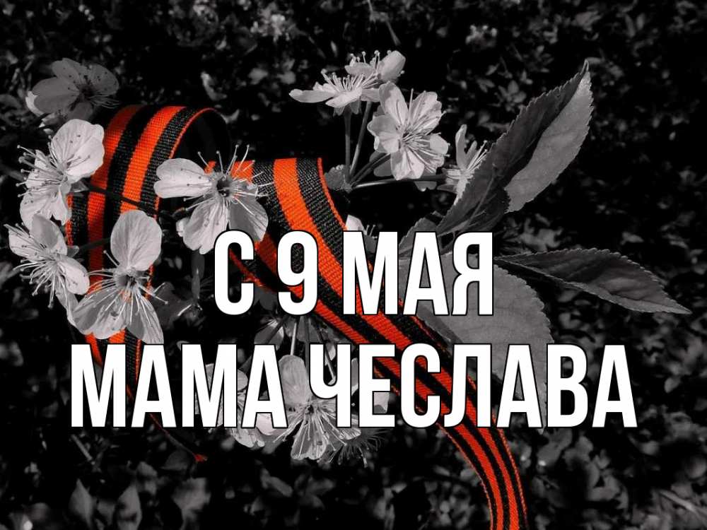 Открытка на каждый день с именем, Мама-Чеслава С 9 мая 9 мая Прикольная открытка с пожеланием онлайн скачать бесплатно 