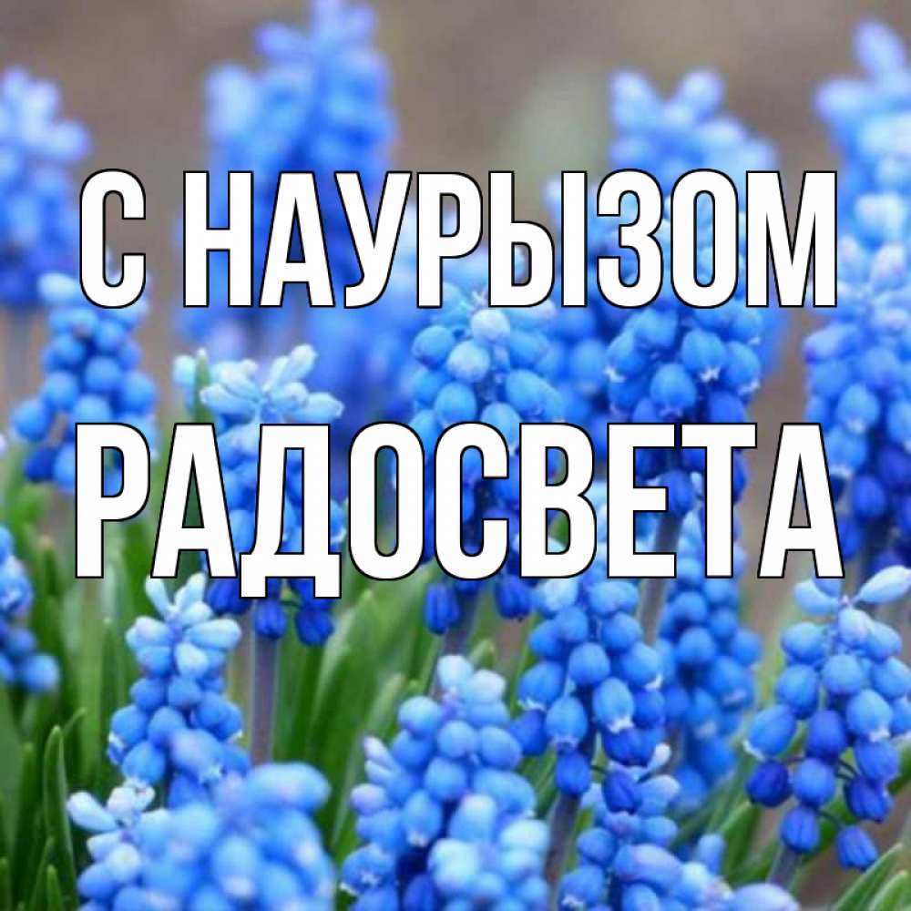 Открытка на каждый день с именем, Радосвета С наурызом Поздравительная открытка для женщин с цветами на праздничную дату Прикольная открытка с пожеланием онлайн скачать бесплатно 