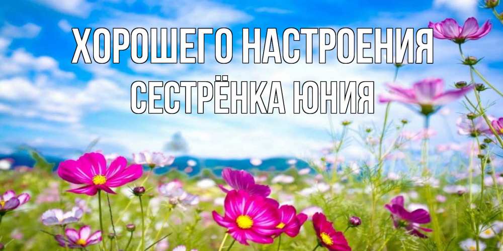 Открытка на каждый день с именем, Сестрёнка-Юния Хорошего настроения поле цветов Прикольная открытка с пожеланием онлайн скачать бесплатно 