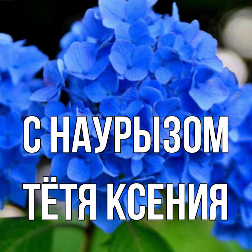 Открытка на каждый день с именем, Тётя-Ксения С наурызом синие цветы Прикольная открытка с пожеланием онлайн скачать бесплатно 