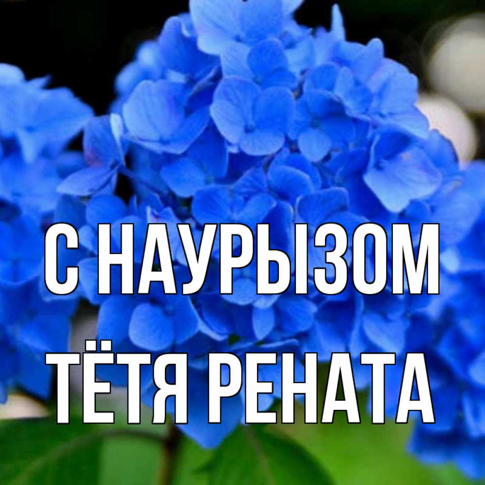 Открытка на каждый день с именем, Тётя-Рената С наурызом синие цветы Прикольная открытка с пожеланием онлайн скачать бесплатно 