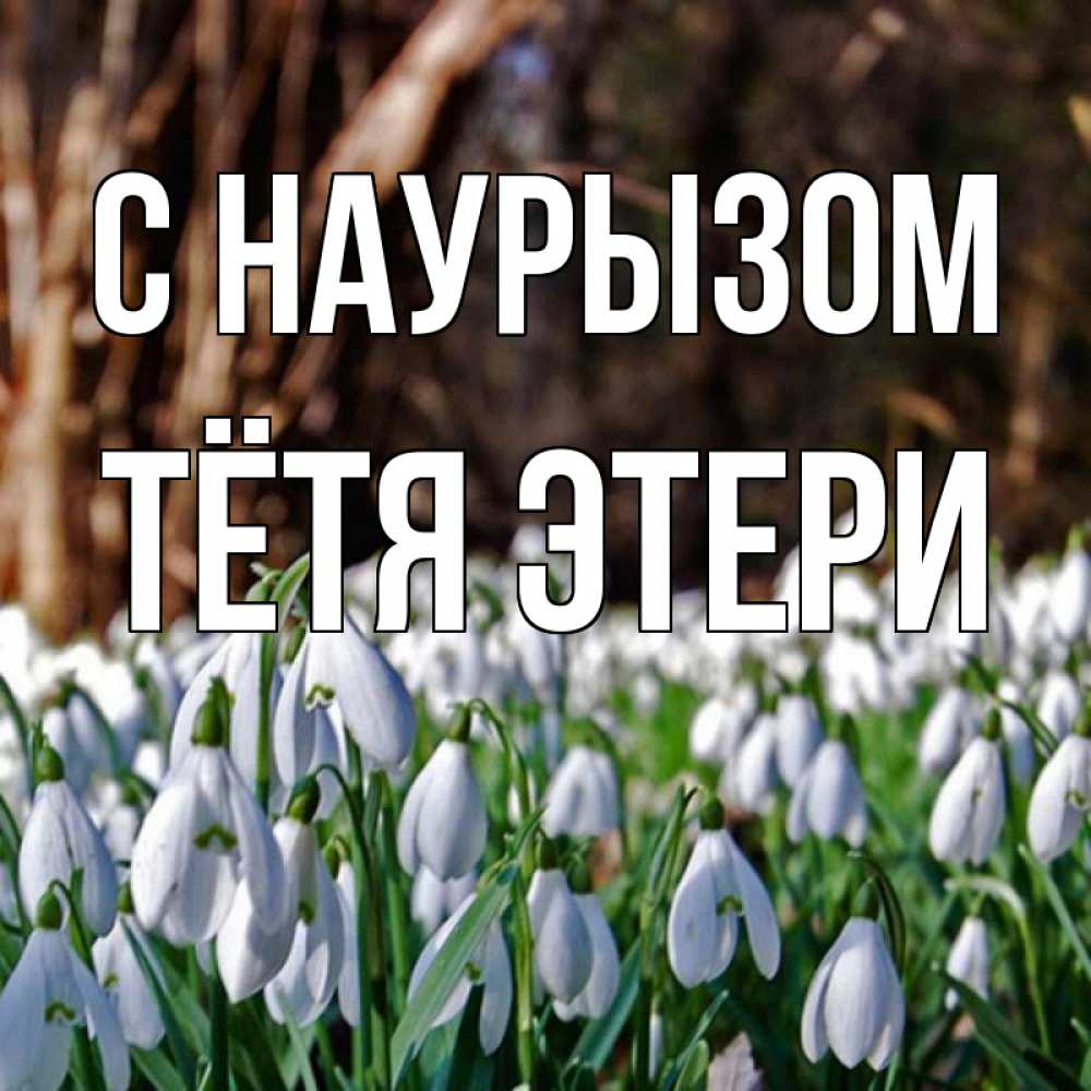 Открытка на каждый день с именем, Тётя-Этери С наурызом с подснежниками 1 Прикольная открытка с пожеланием онлайн скачать бесплатно 
