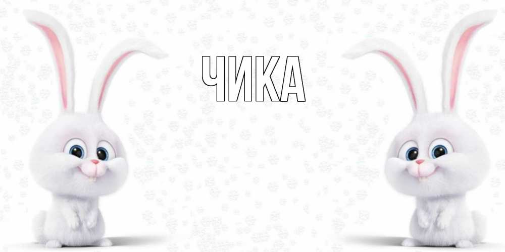 Открытка на каждый день с именем, Чика Главная не болей с зайцем Прикольная открытка с пожеланием онлайн скачать бесплатно 