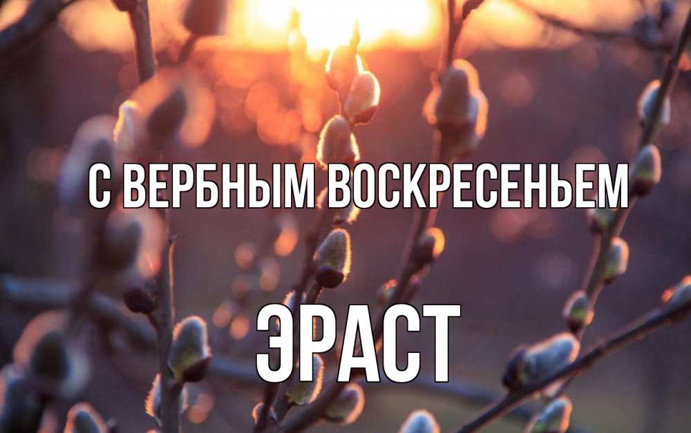 Открытка на каждый день с именем, Эраст С вербным воскресеньем верба Прикольная открытка с пожеланием онлайн скачать бесплатно 