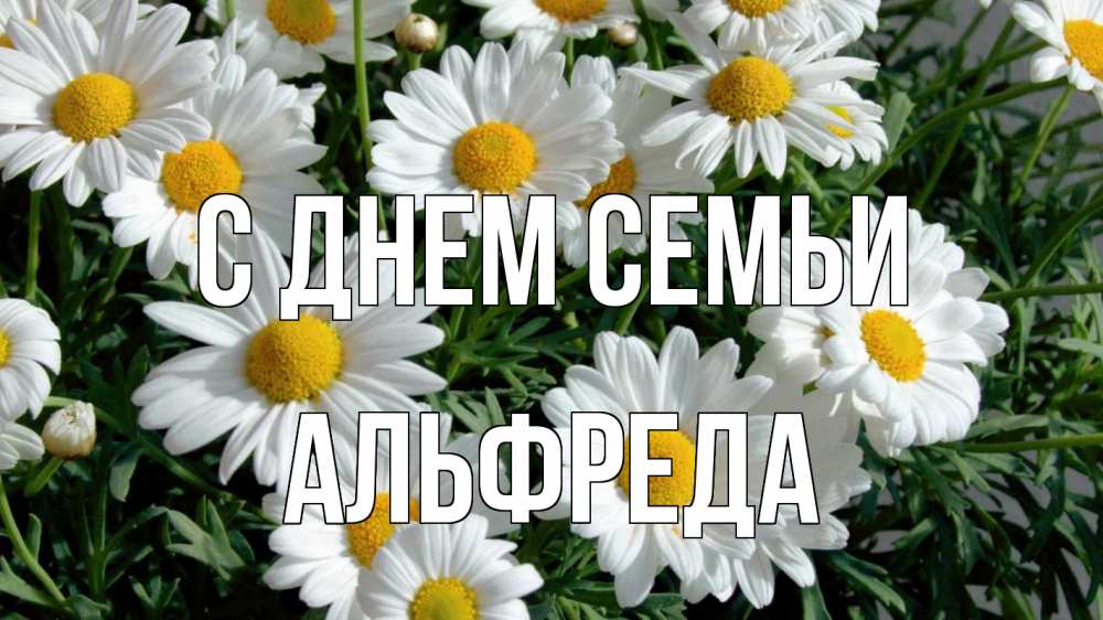 Открытка на каждый день с именем, Альфреда С днем семьи с днем семьи Прикольная открытка с пожеланием онлайн скачать бесплатно 