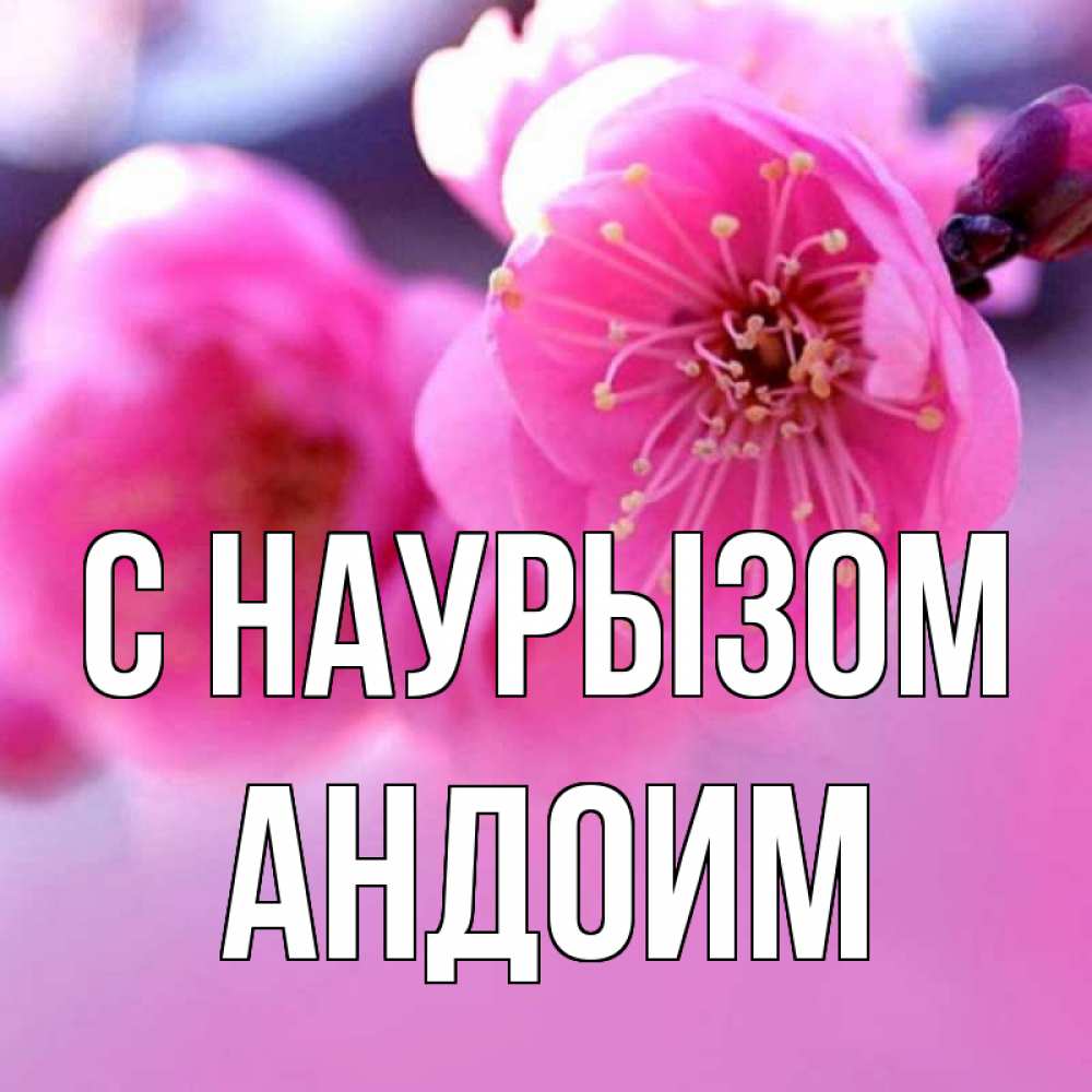 Открытка на каждый день с именем, Андоим С наурызом международный женский день Прикольная открытка с пожеланием онлайн скачать бесплатно 