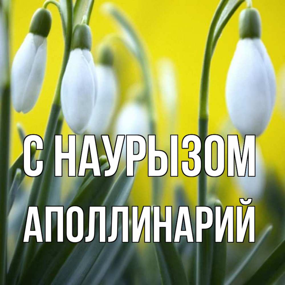 Открытка на каждый день с именем, Аполлинарий С наурызом весенние цветы Прикольная открытка с пожеланием онлайн скачать бесплатно 