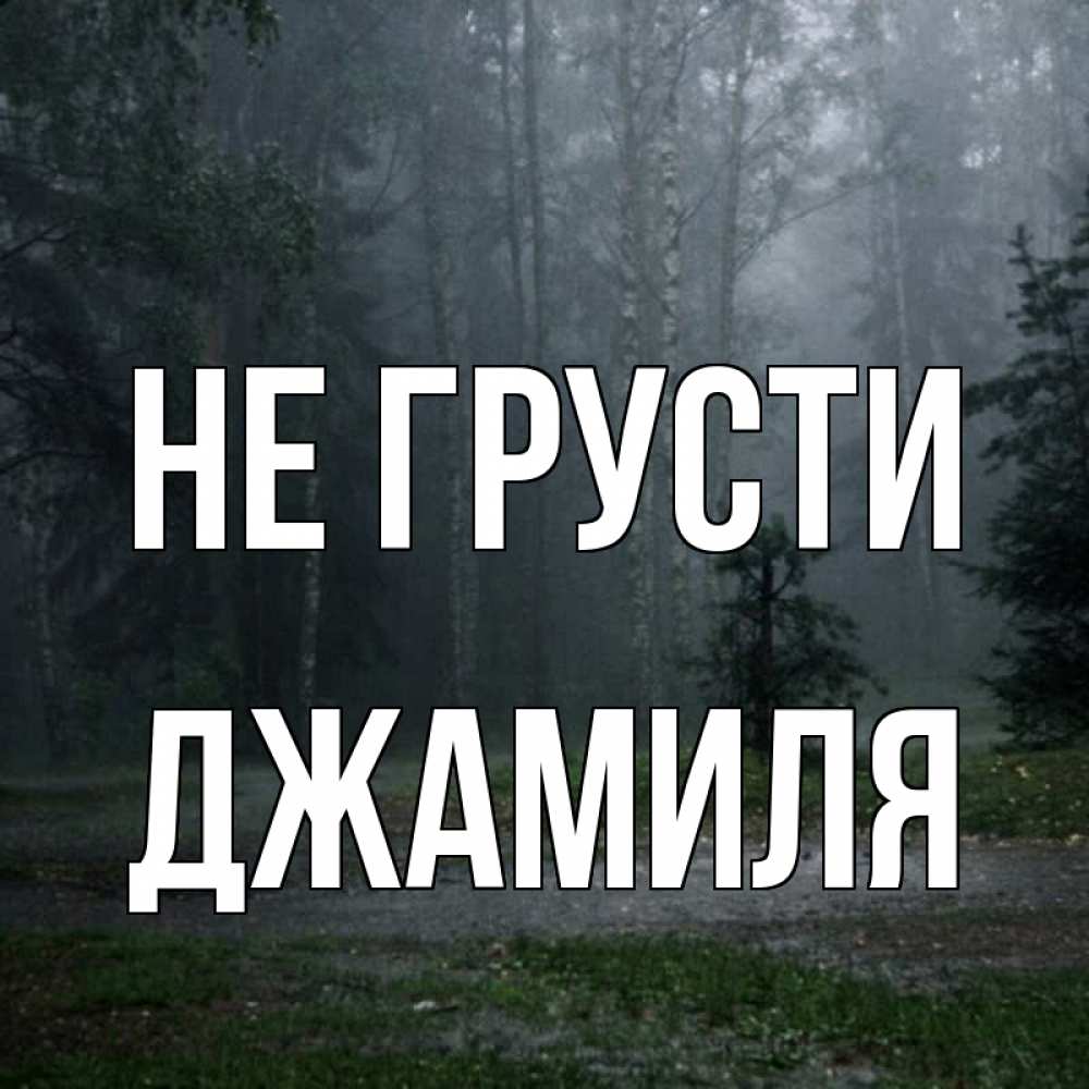 Открытка на каждый день с именем, Джамиля Не грусти осень Прикольная открытка с пожеланием онлайн скачать бесплатно 