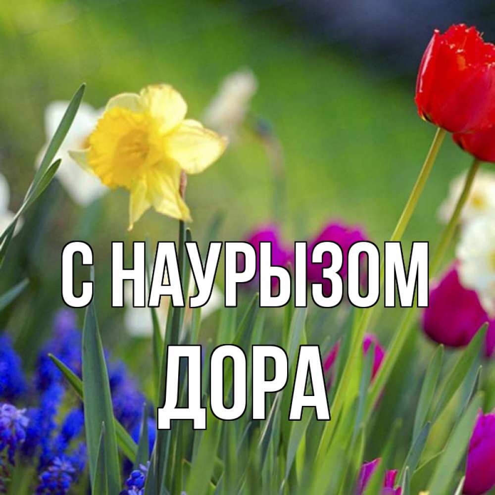 Открытка на каждый день с именем, Дора С наурызом праздник весны наурыз 3 Прикольная открытка с пожеланием онлайн скачать бесплатно 