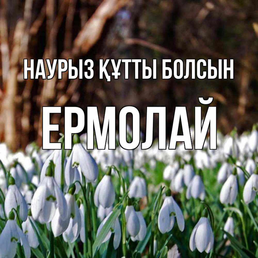 Открытка на каждый день с именем, Ермолай Наурыз құтты болсын с подснежниками 1 Прикольная открытка с пожеланием онлайн скачать бесплатно 