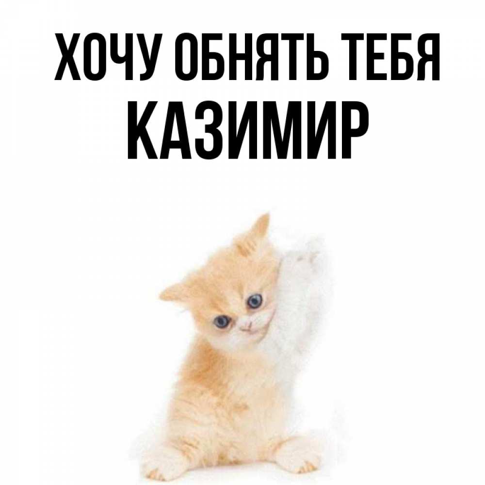 Открытка на каждый день с именем, Казимир Хочу обнять тебя я хочу очень скорее обнимаешек Прикольная открытка с пожеланием онлайн скачать бесплатно 