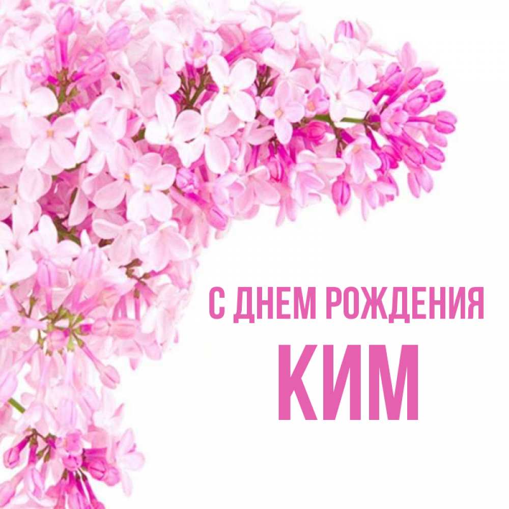 Открытка на каждый день с именем, Ким С днем рождения Сирень на белом фоне Прикольная открытка с пожеланием онлайн скачать бесплатно 