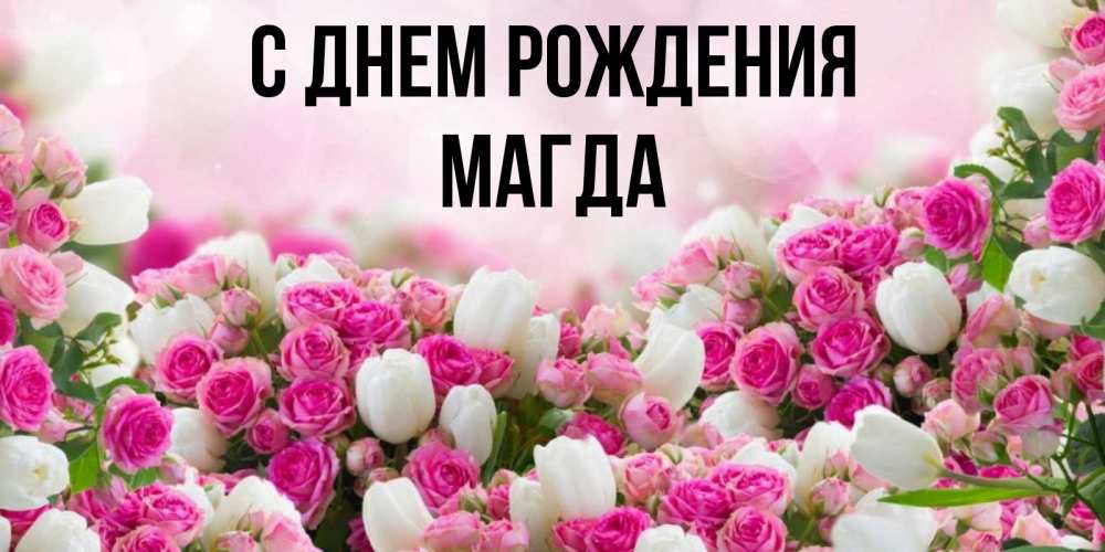 Открытка на каждый день с именем, Магда С днем рождения открытка с разными розами Прикольная открытка с пожеланием онлайн скачать бесплатно 