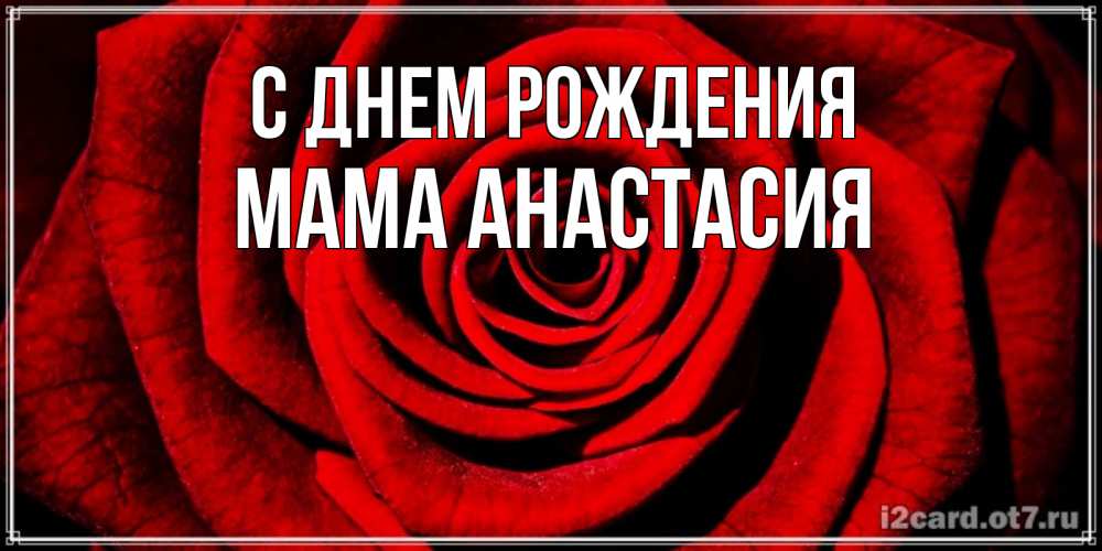 Открытка на каждый день с именем, Мама-Анастасия С днем рождения алая роза Прикольная открытка с пожеланием онлайн скачать бесплатно 