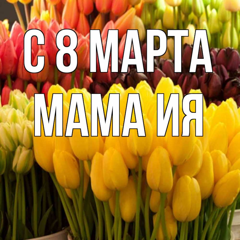 Открытка на каждый день с именем, Мама-Ия С 8 марта цветы Прикольная открытка с пожеланием онлайн скачать бесплатно 