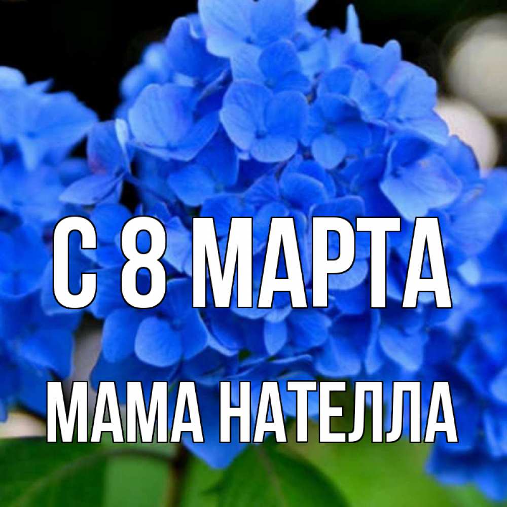 Открытка на каждый день с именем, Мама-Нателла С 8 МАРТА синие цветы Прикольная открытка с пожеланием онлайн скачать бесплатно 
