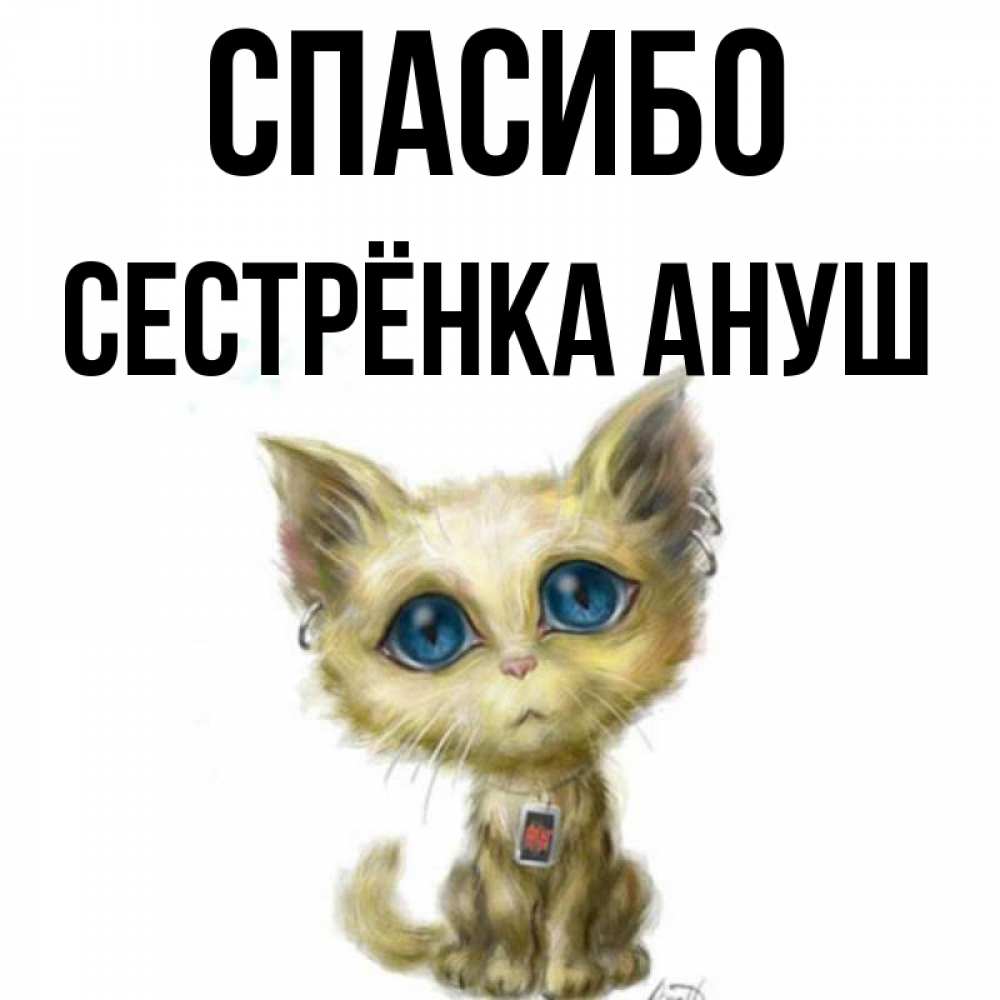 Открытка на каждый день с именем, Сестрёнка-Ануш Спасибо рисованный кот благодарит вас Прикольная открытка с пожеланием онлайн скачать бесплатно 