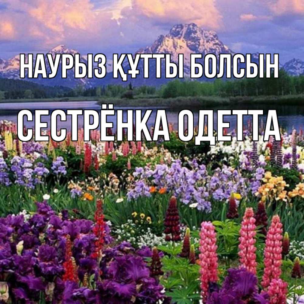 Открытка на каждый день с именем, Сестрёнка-Одетта Наурыз құтты болсын наурыз Прикольная открытка с пожеланием онлайн скачать бесплатно 