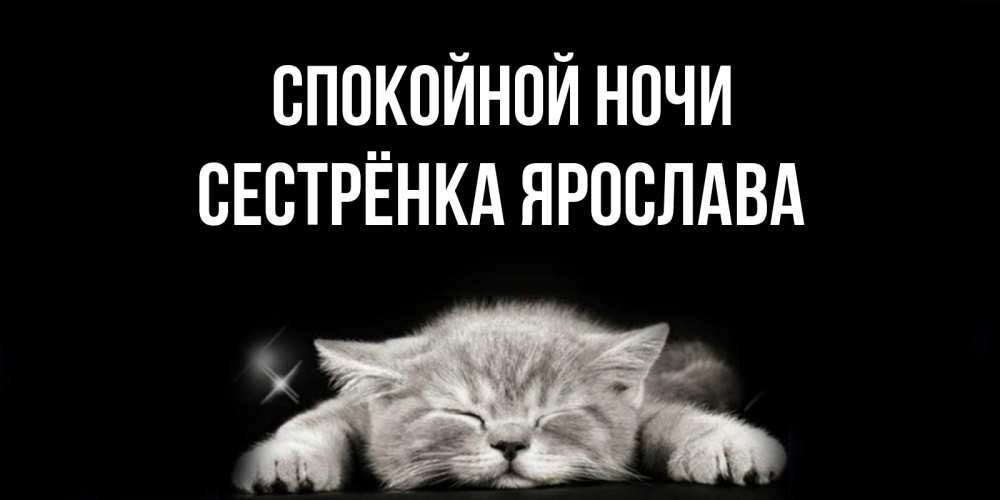 Открытка на каждый день с именем, Сестрёнка-Ярослава Спокойной ночи спящий котик Прикольная открытка с пожеланием онлайн скачать бесплатно 