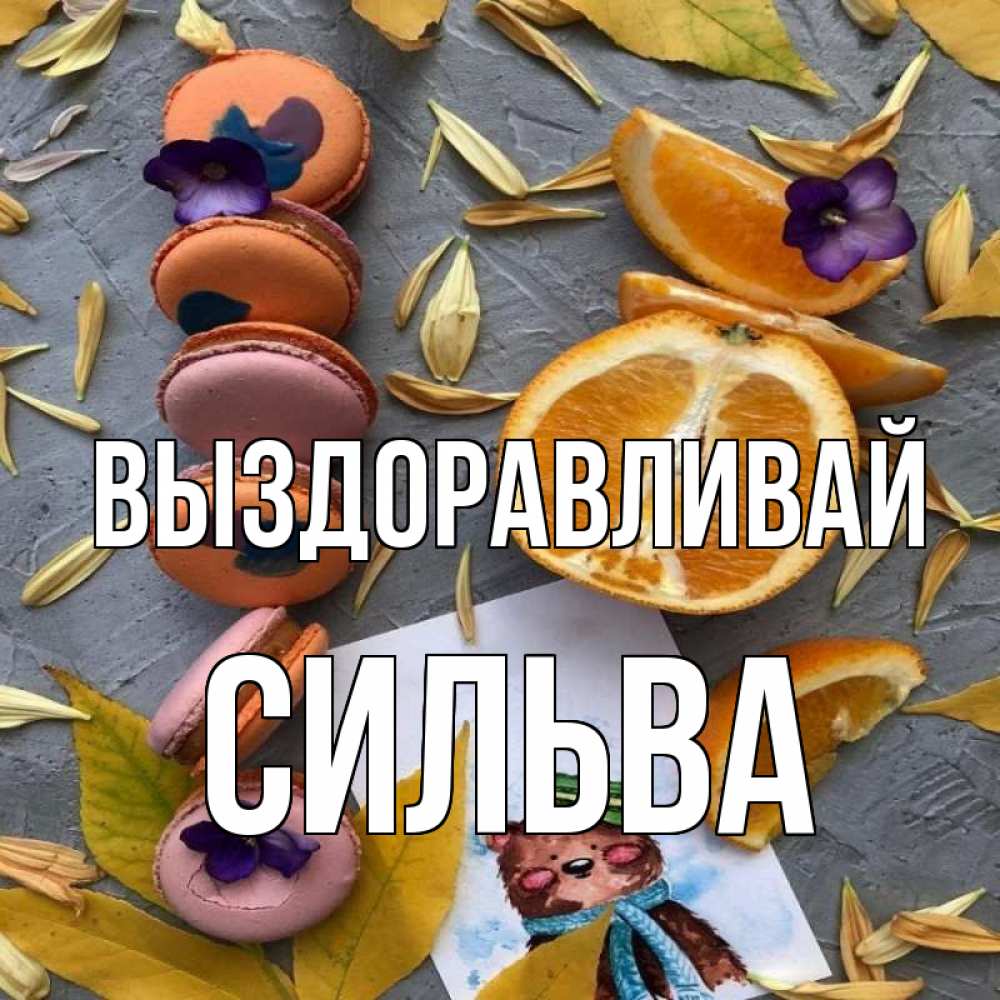 Открытка на каждый день с именем, Сильва Выздоравливай не болейте Прикольная открытка с пожеланием онлайн скачать бесплатно 