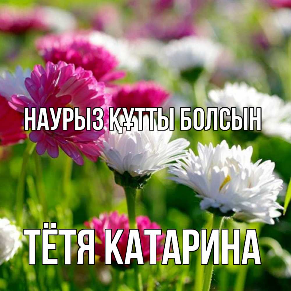 Открытка на каждый день с именем, Тётя-Катарина Наурыз құтты болсын наурыз Прикольная открытка с пожеланием онлайн скачать бесплатно 