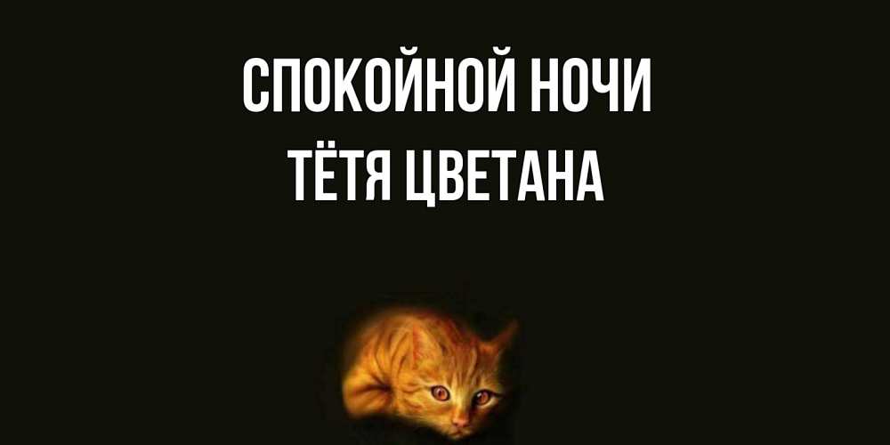 Открытка на каждый день с именем, Тётя-Цветана Спокойной ночи кот Прикольная открытка с пожеланием онлайн скачать бесплатно 