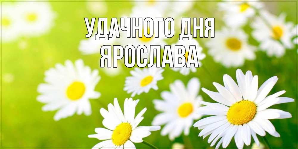 Открытка на каждый день с именем, Ярослава Удачного дня открытка с ромашками на зеленом фоне Прикольная открытка с пожеланием онлайн скачать бесплатно 
