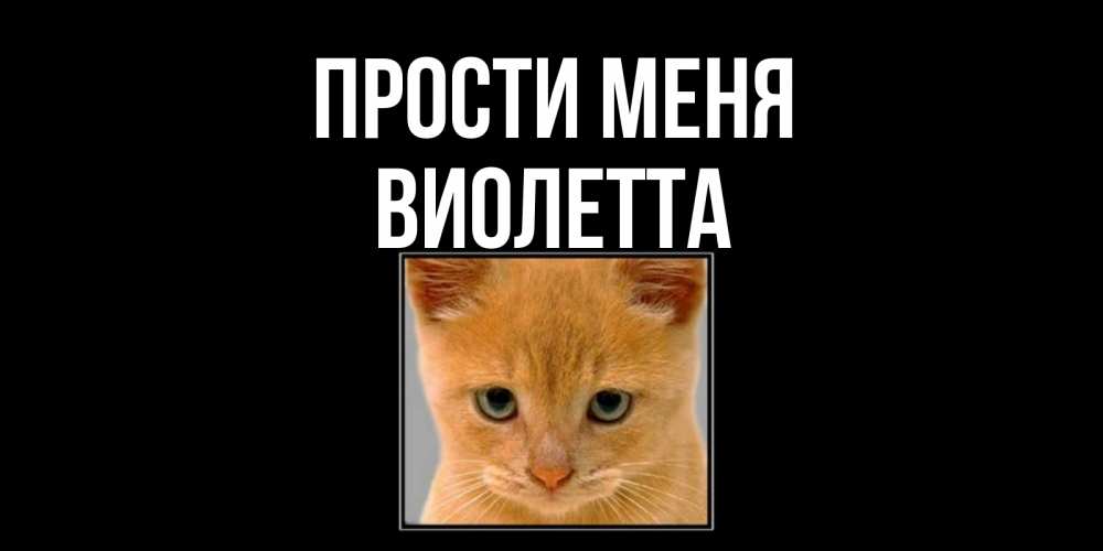 Открытка на каждый день с именем, Виолетта Прости меня рыжий грустный кот просит прощения Прикольная открытка с пожеланием онлайн скачать бесплатно 