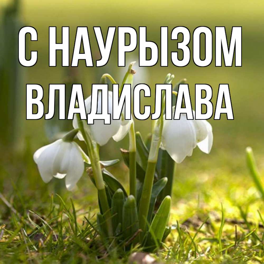 Открытка на каждый день с именем, Владислава С наурызом ранние цветы 2 Прикольная открытка с пожеланием онлайн скачать бесплатно 