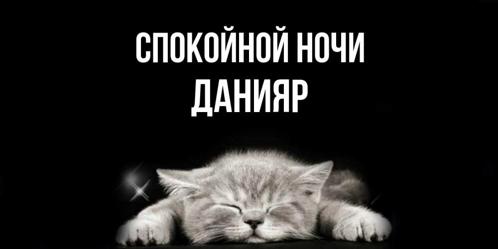 Открытка на каждый день с именем, Данияр Спокойной ночи спящий котик Прикольная открытка с пожеланием онлайн скачать бесплатно 