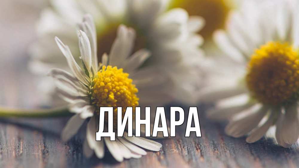 Открытка на каждый день с именем, Динара Главная с днем семьи Прикольная открытка с пожеланием онлайн скачать бесплатно 