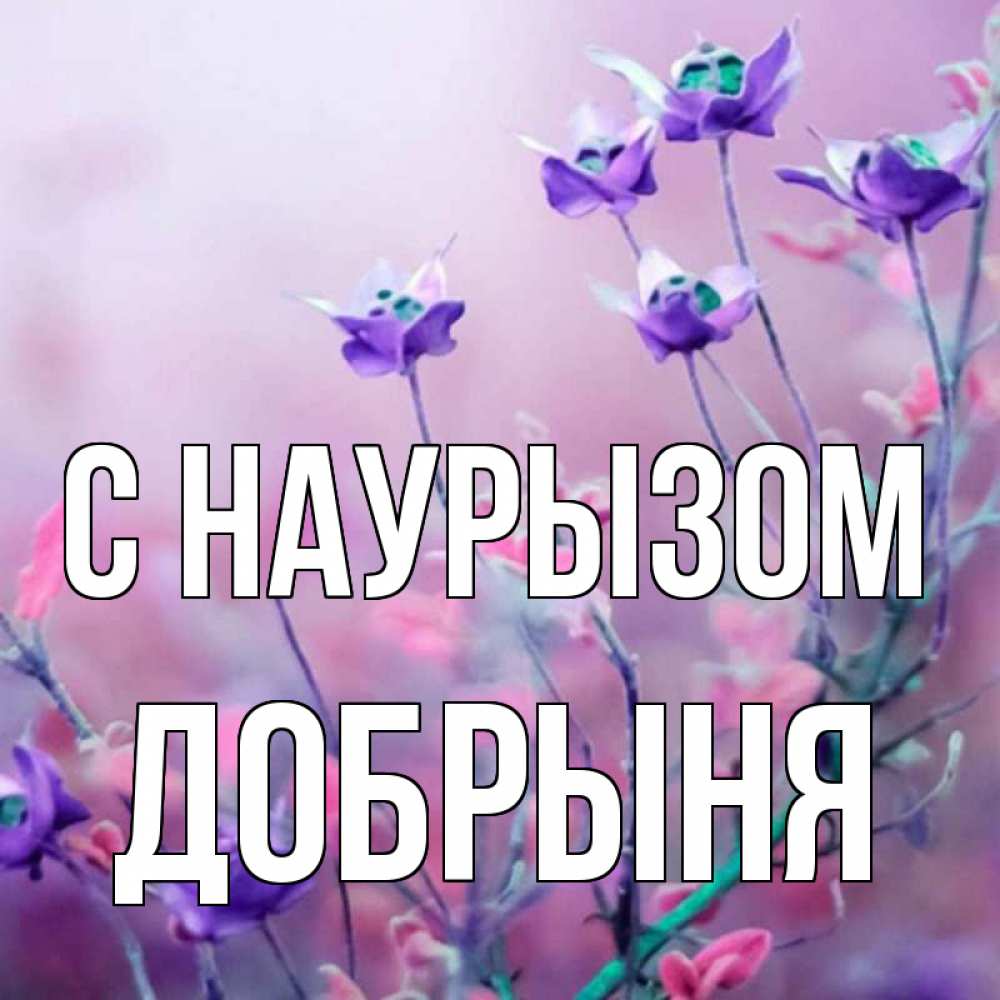 Открытка на каждый день с именем, Добрыня С наурызом международный женский день 2 Прикольная открытка с пожеланием онлайн скачать бесплатно 