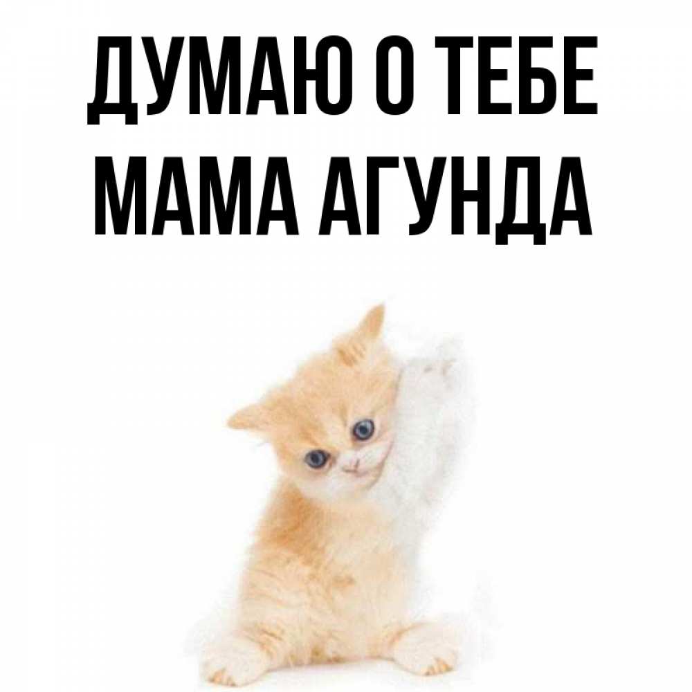 Открытка на каждый день с именем, Мама-Агунда Думаю о тебе зверушки и милота Прикольная открытка с пожеланием онлайн скачать бесплатно 